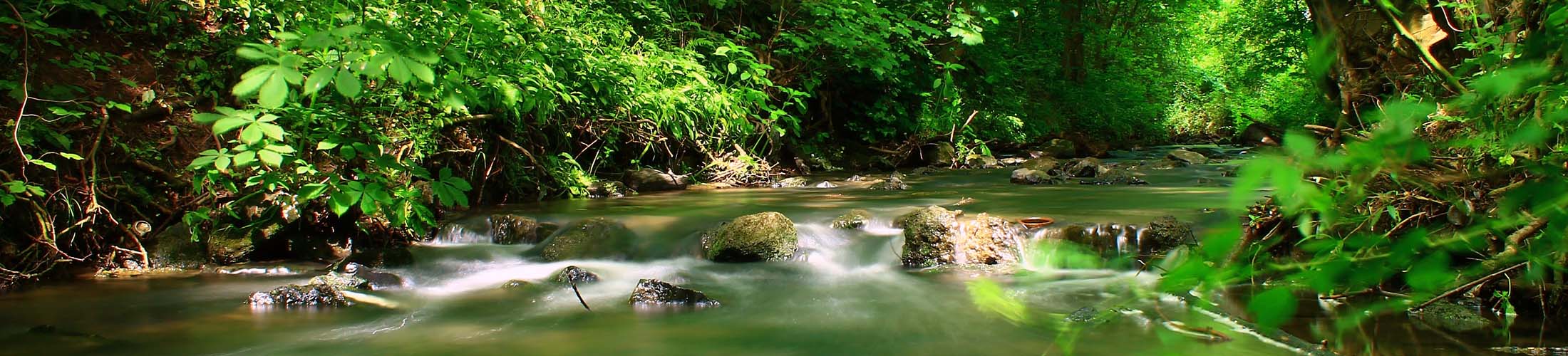 A stream
