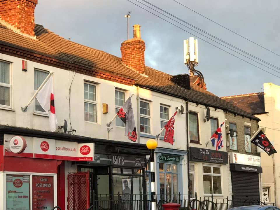 Remembrance Day flags